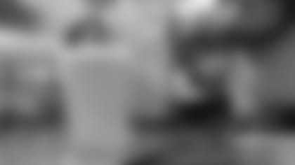 temp2016_0802_TC_WT_1232-nfl_mezz_1280_1024-768x511.jpg