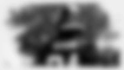 josh_norman_brush-centerpiece