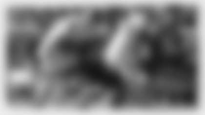 demarquise_gates_brush-centerpiece