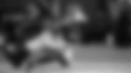 Terry McLaurin makes a diving catch during Sunday's game against the Baltimore Ravens. (Elijah Walter Griffin Sr./Washington Football Team)