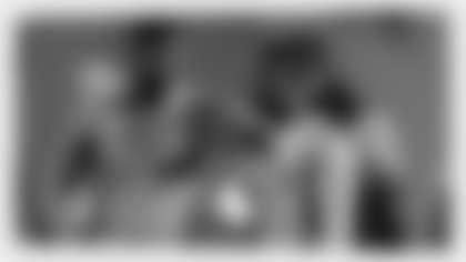 terry_mcLaurin_brush-centerpiece