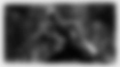 josh_norman_running_bulls_brush-centerpiece