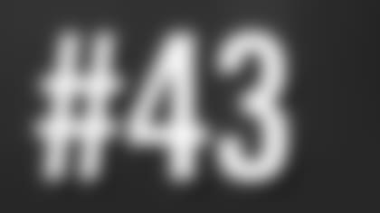 43.jpg