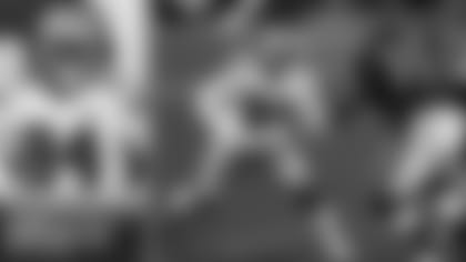 Progress-Report-Gregory-Perfect-For-Quinn-Scheme-hero