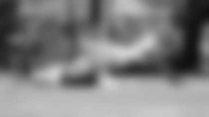 Spagnola-Darn-It-Just-Cant-Overturn-History-hero