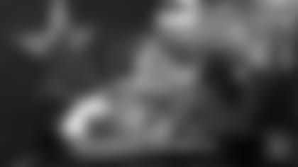 Cowbites - Trial by Fire