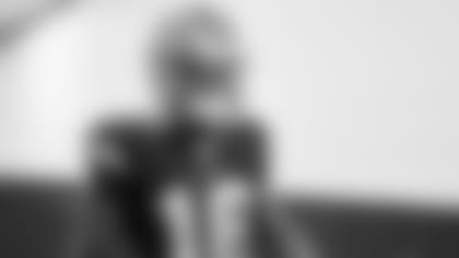 Randall-Cobb-HOU-hero