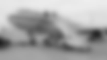 20141227_dal_aa_plane.jpg