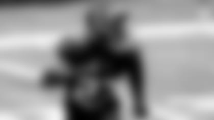 Mick-Shots--The-Meaning-Of-Safety-In-Numbers-hero