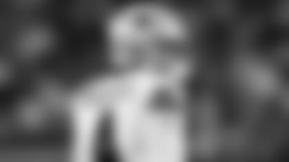 Spagnola-Visions-Of-2011-Are-Dancing-Overhead-hero