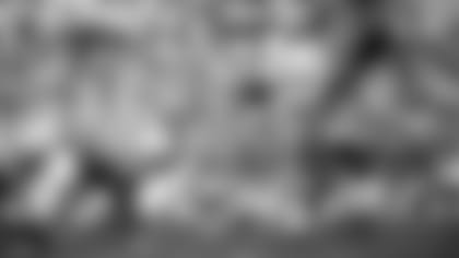 ROH-Dom-Meredith-hero