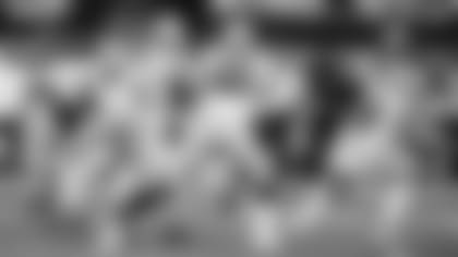 Hizo-su-trabajo-hero