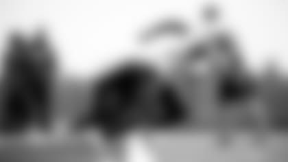 Spagnola-Braking-For-Premature-Assumptions-hero