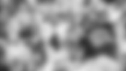 Gut-Feeling--Staff-Picks-For-Dallas-Washington-hero