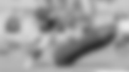 Star-of-the-Day-D-Laws-Rare-Rep-WRs-Shine-hero