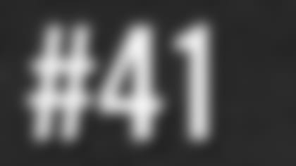 41.jpg