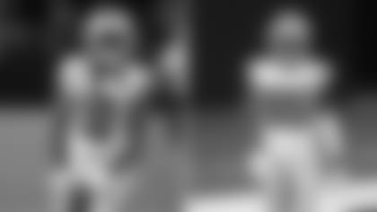 Receptores_FA