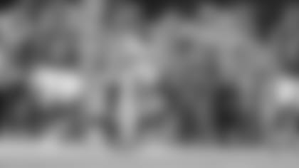 Dont-Forget-These-5-Collins-Alert-Scoop-n-Dive-hero