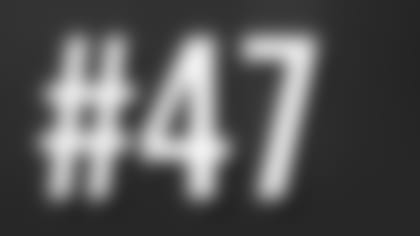 47.jpg