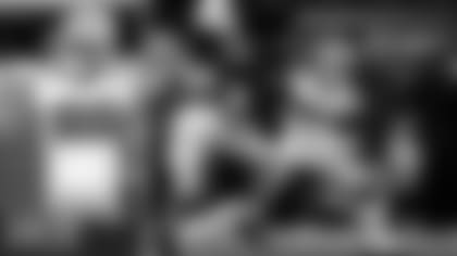 Progress-Report-Lamb-Met,-Surpassed-Expectations-hero