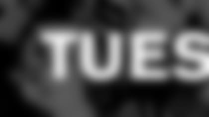 6-days-dalvswas-tuesday.jpg