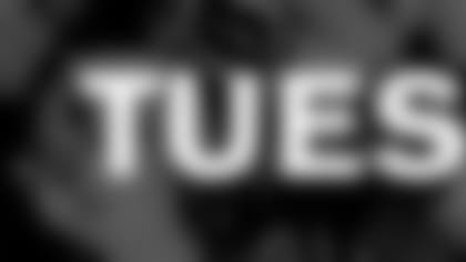 6-days-tuesday-dalvsaz.jpg
