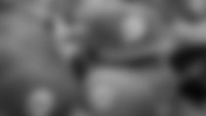 WEB014_StadiumScrimage_16x93