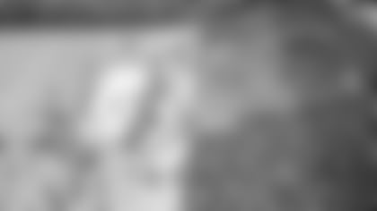 WEB014_StadiumScrimage_16x94