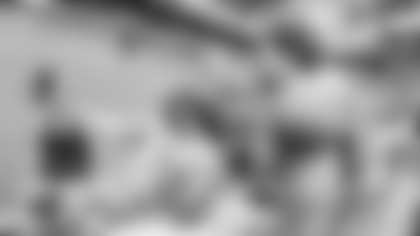 WEB014_StadiumScrimage_16x9