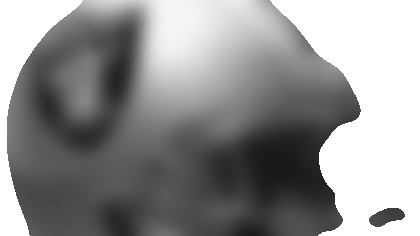 helmet_raiders_125_090414.gif