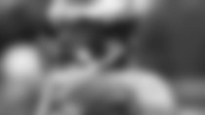 header_donovan_mcnabb_072813.jpg