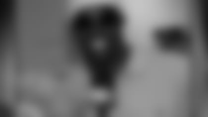 hotshot_081027_mcnabb.jpg