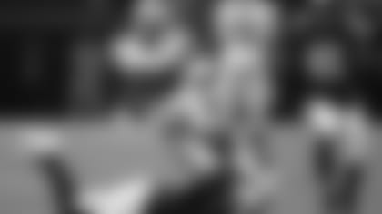 AP_17317657312155