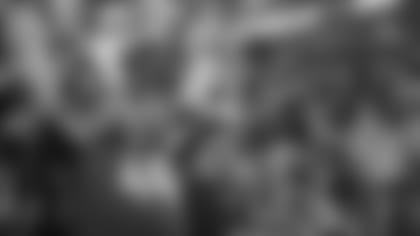 SFTB_overlay1207-fans_CP.jpg