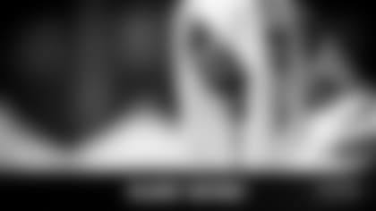 SheffieldInjuryReport