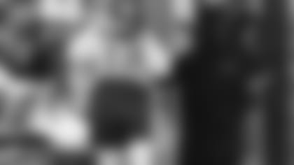 Sanu-Header