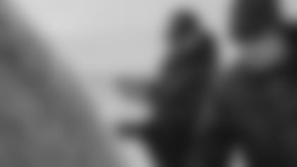 HAY_resized