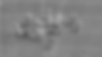 DolphinsRunD5Edit.jpg