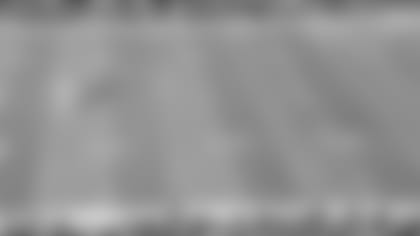 Falconsgame-TV.jpg
