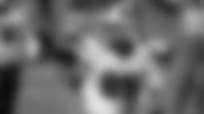 AP_20355013036762