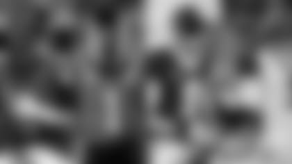 Tabeek-NFCSouth-landscape