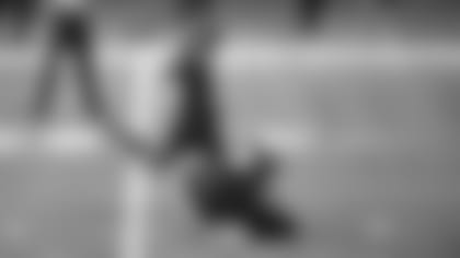 AF_20201129_LVRatATL_AR1_7881