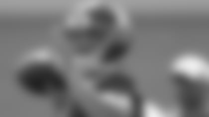 carr_220x100_081613.jpg