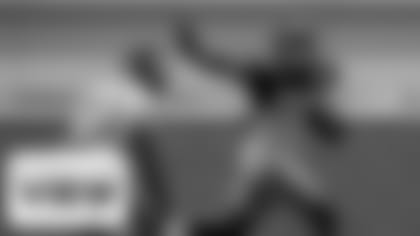 SIDELINE-VIEW-SHEPARD