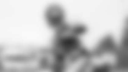 DARNAY-HOLMES-STANDOUTS