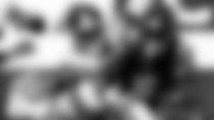 COVER3-GRAPHIC-BEARS