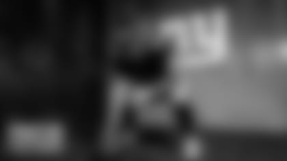 FACT-OR-FICTION-SCHMITZ