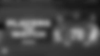 PANINI_1920x1080WK14