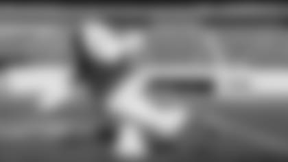 Kicking-Snoopy2.jpg
