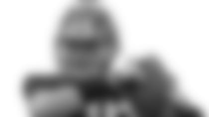 sash_220x100_081213.jpg